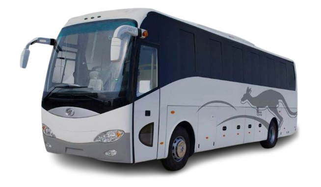 Luxury Buses
